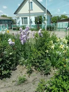 Авито новопокровская краснодарский край