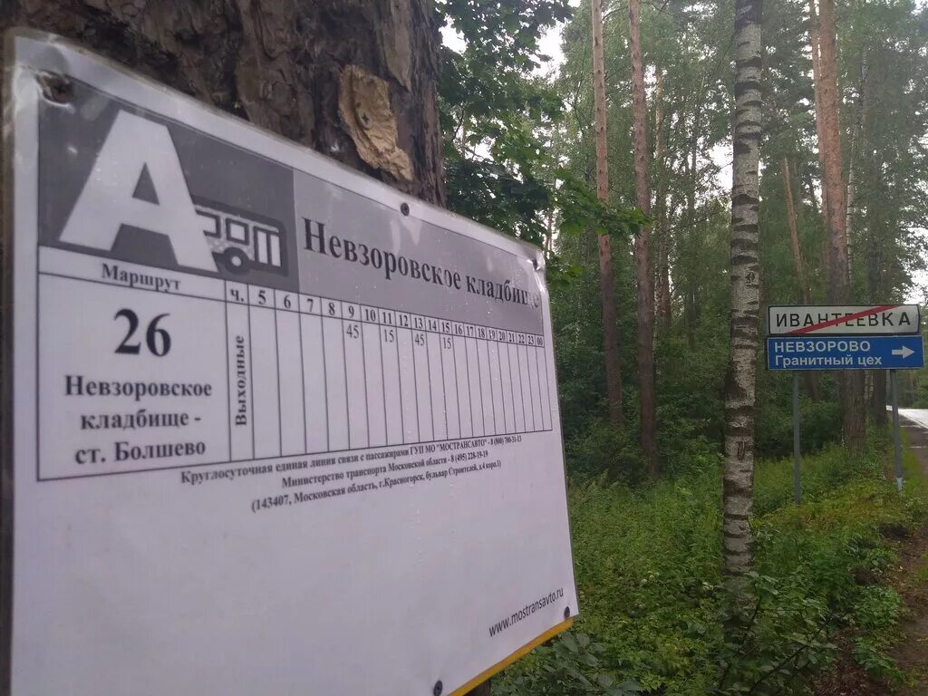 ивантеевка кладбище. ивантеевка кладбище. ивантеевка кладбище. ивантеевка кладбище. храм на кладбище.