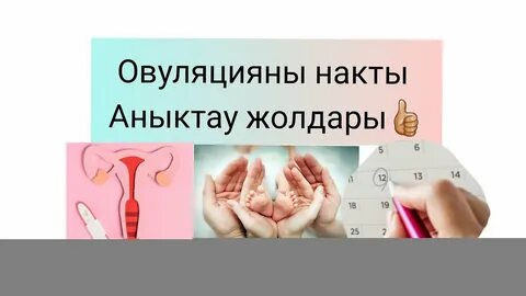 Ең жақсысы шығармай аузыма түсті