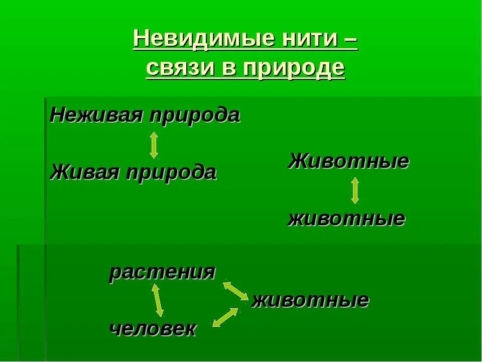 Невидимая нить. Невидимая нить. Невидимые нити в лесу примеры. Невидимая нить. Строение и грамматическое значение.