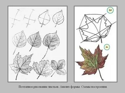 Рисуем осенние листья поэтапно