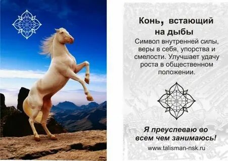Лошадь значение