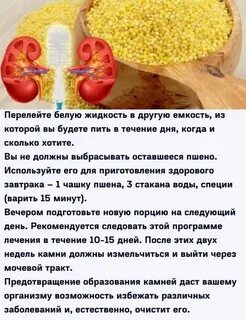 Как почистить почки и печень
