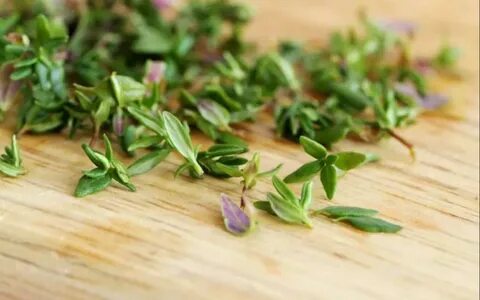 Thyme