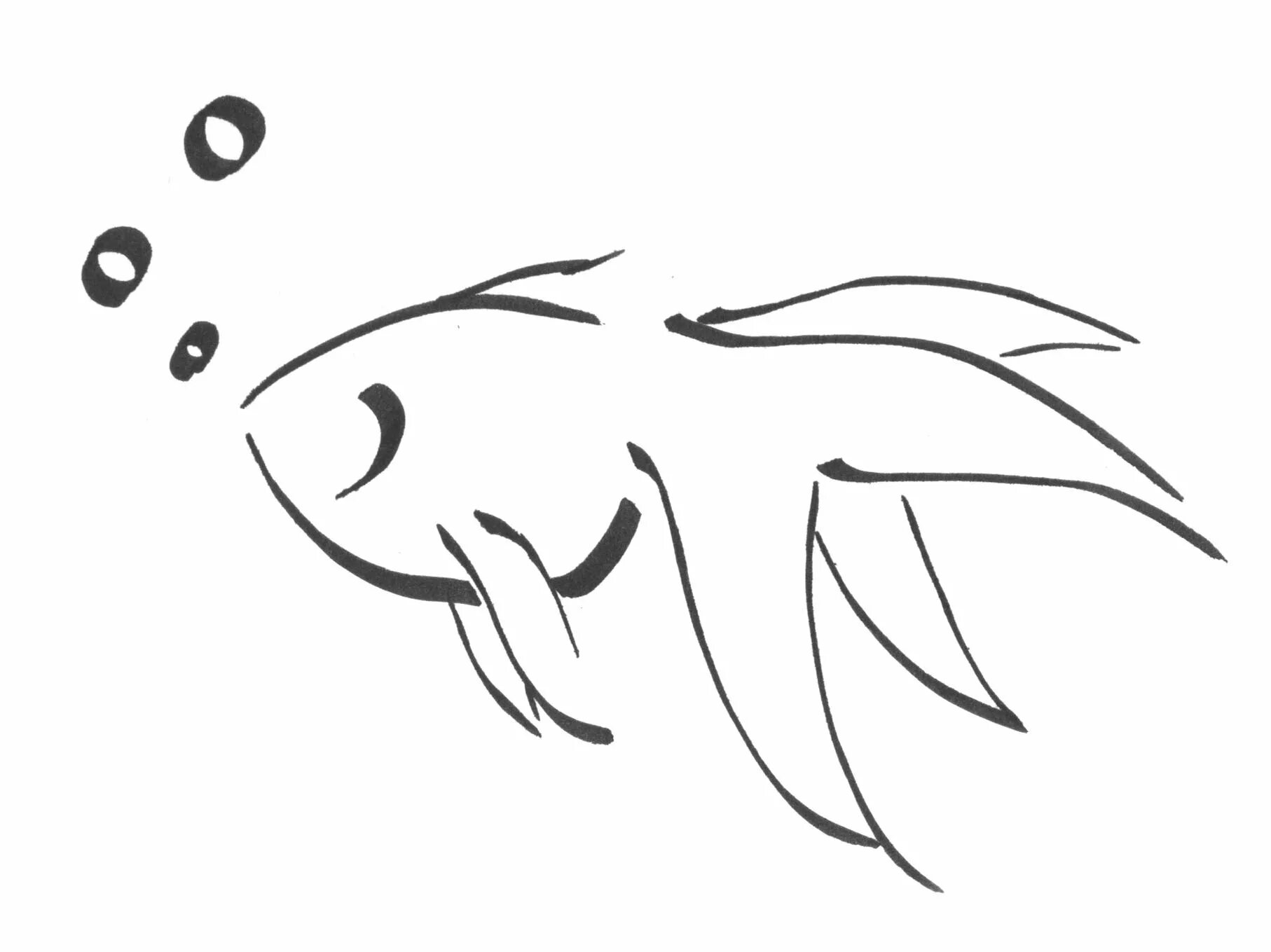 Была рыбка простая. Картинки рыб для срисовки. Эскизы легкие. Эскиз рыбки. Трафарет рыбы для рисования.