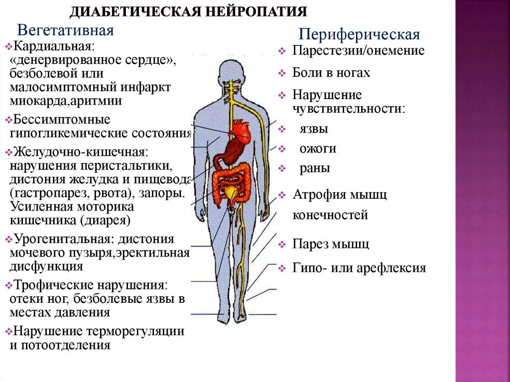 Нейропатия нижних конечностей лечение при сахарном диабете. Клинические симптомы диабетической нейропатии. Полиневропатия при сахарном диабете. Автономная диабетическая нейропатия клиника. Осложнения сахарного диабета диабетическая нейропатия.