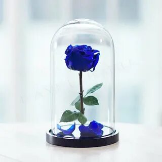 Цветы в колбе