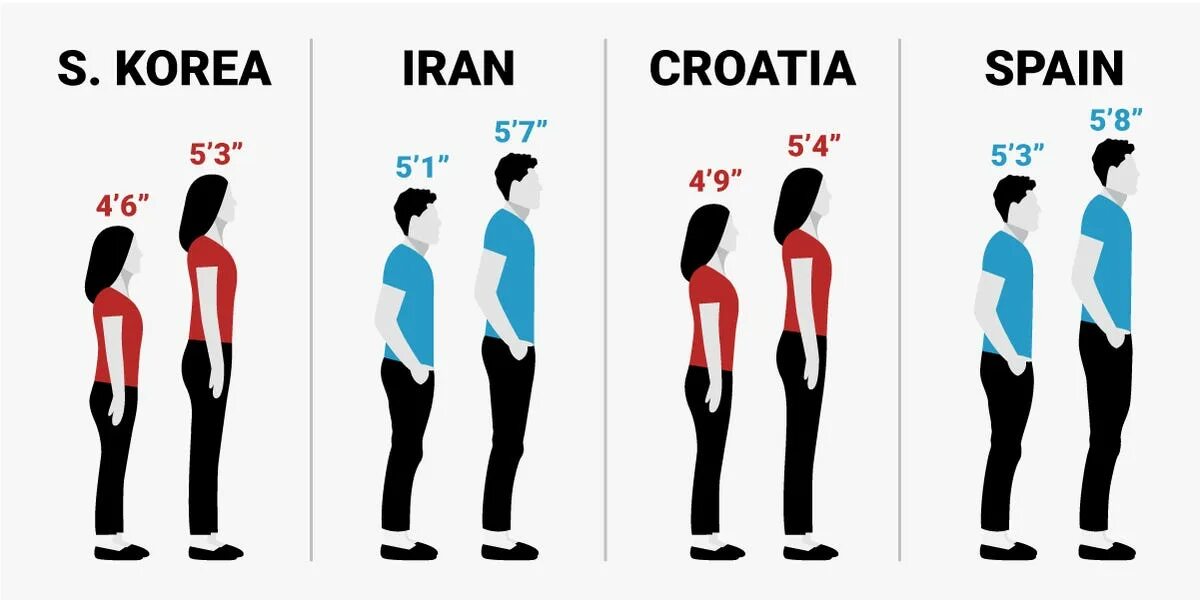 Height 15. Средний рост японцев. Средний рост женщины. Средний рост мужчины. Средний рост мужчины и женщины.