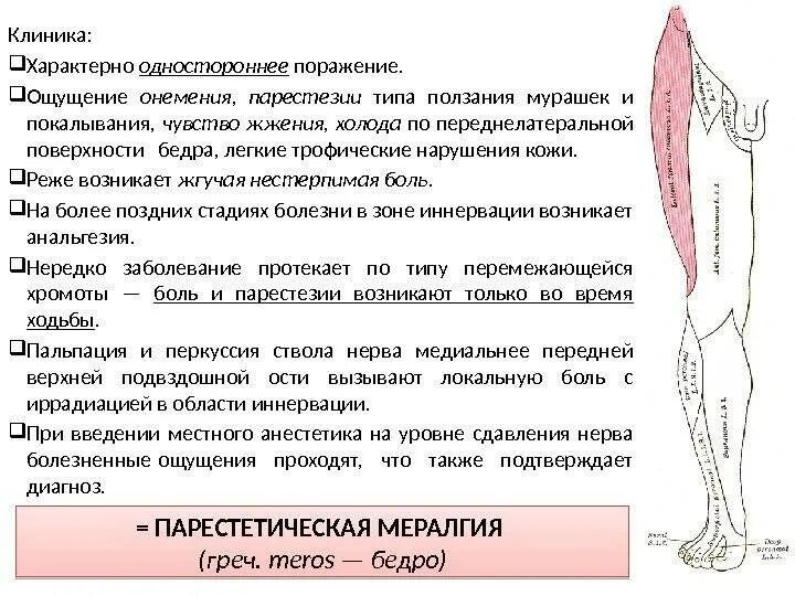 Онемение ног правая сторона. Немеет правая нога от бедра. Немеет левая нога от бедра. Наружная поверхность бедра. Онемение левой ноги от колена до стопы.