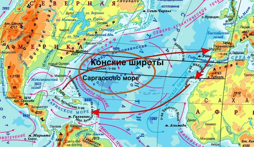 Где располагается море. Саргассово море границы на карте. сартасово море на карт. саргассово море на карте. саргассово море на карте полушарий.