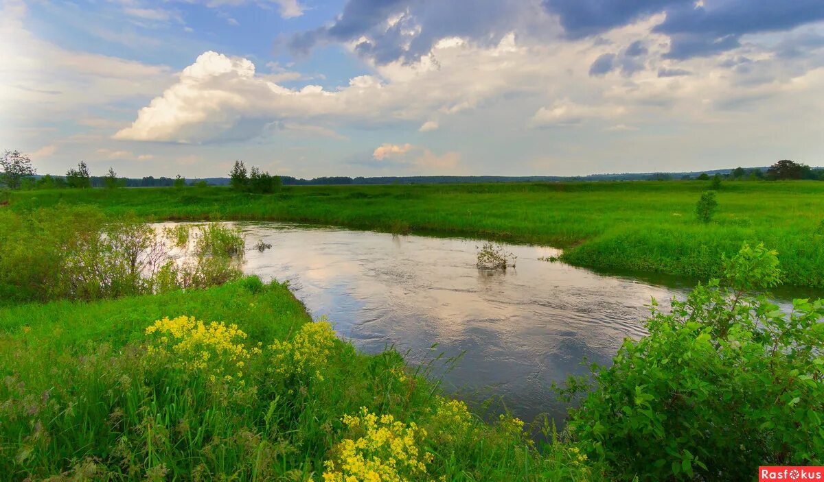 Укажите самую полноводную реку россии. Пейзаж с полноводной рекой. Фото полноводная река. Полноводный это. Полноводную.