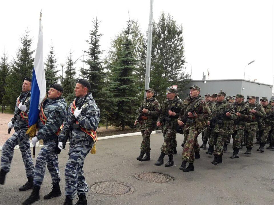 Напротив крокуса база омона