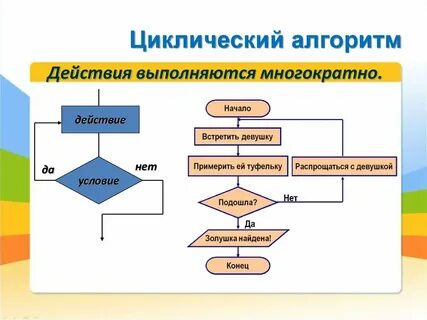 Приведите пример из жизни циклического алгоритма