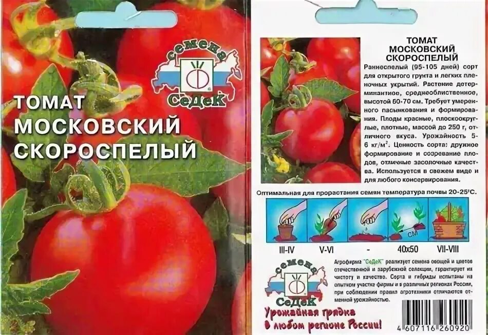 Томат московский скороспелый московский. Томат московский ранний. Томаты московские описание. Томат московский евросемена. Томаты московские описание.