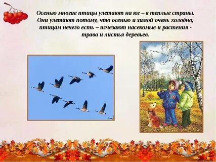 Птички улетели в теплые края вид предложения