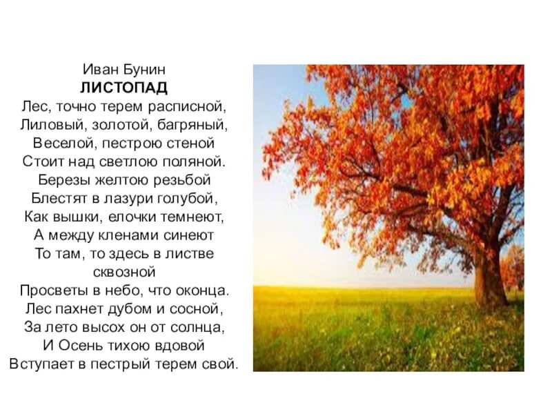 Листопад стихотворение бунина 4 класс. Стих Бунина листопад. Стих Ивана Алексеевича Бунина листопад.