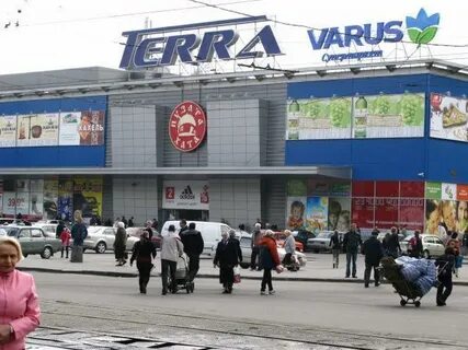 Терра 12