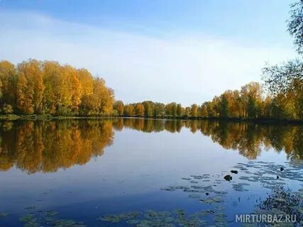Круглые алтайский край