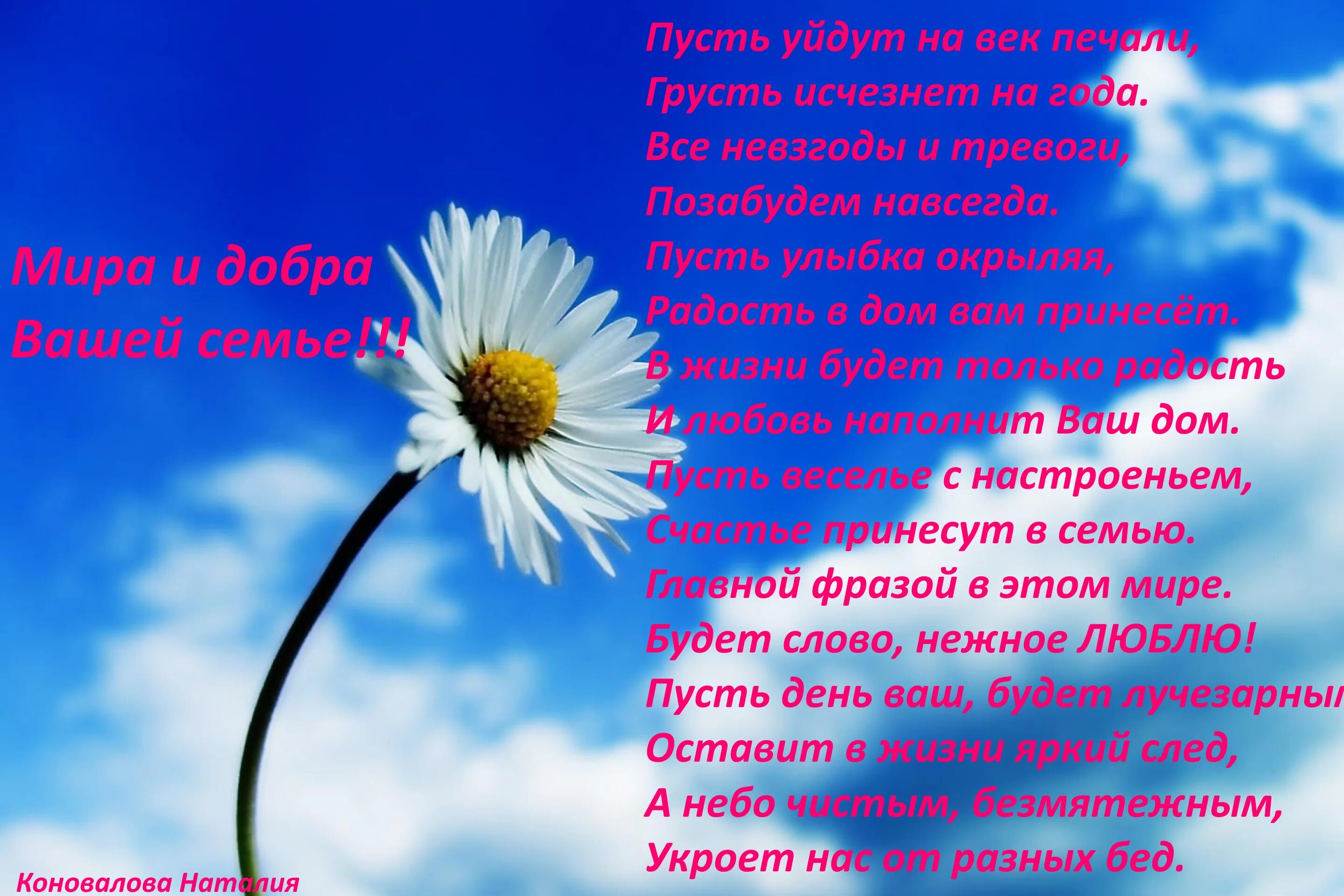 Пусть все невзгоды останутся. Цветы для души. Пожелания счастья и здоровья. Пусть все невзгоды останутся. Гоните прочь плохое настроение для негатива.