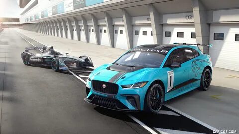 Jaguars 1