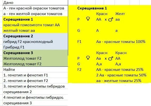 Сколько типов гамет образует растение зеленоплодного сорта