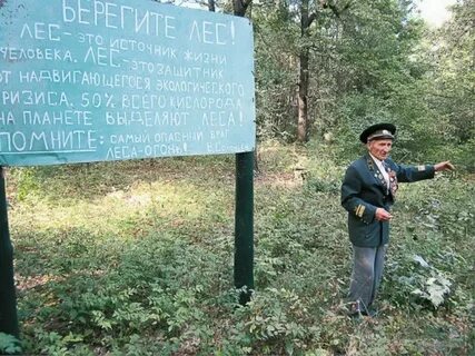 Помни в лесу