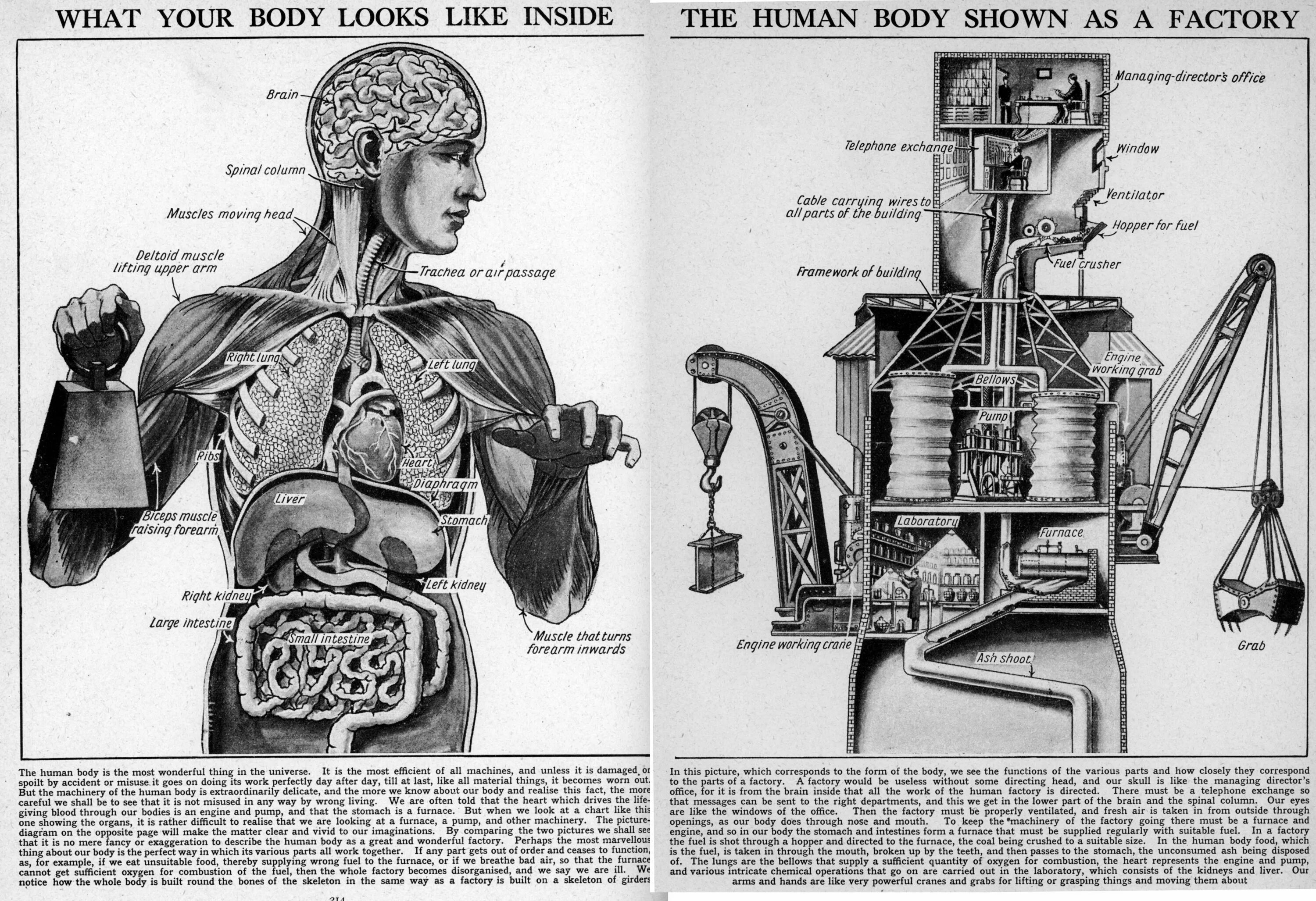 Machines that are the best. My body is a machine. human machine diagram. my body is a machine that turns. make your body your machine.