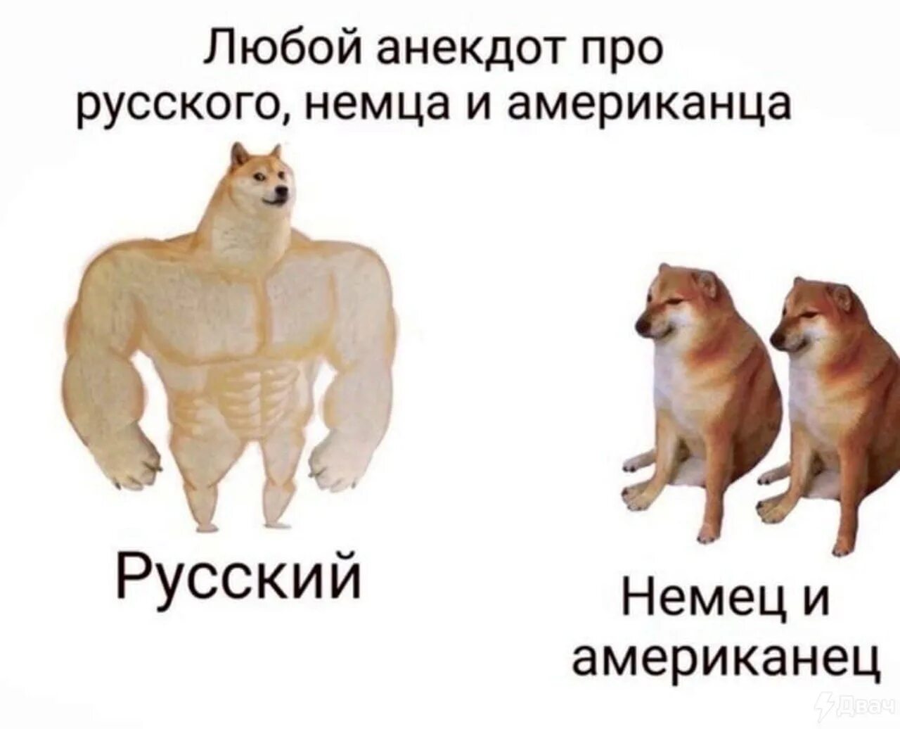 Любая шутка
