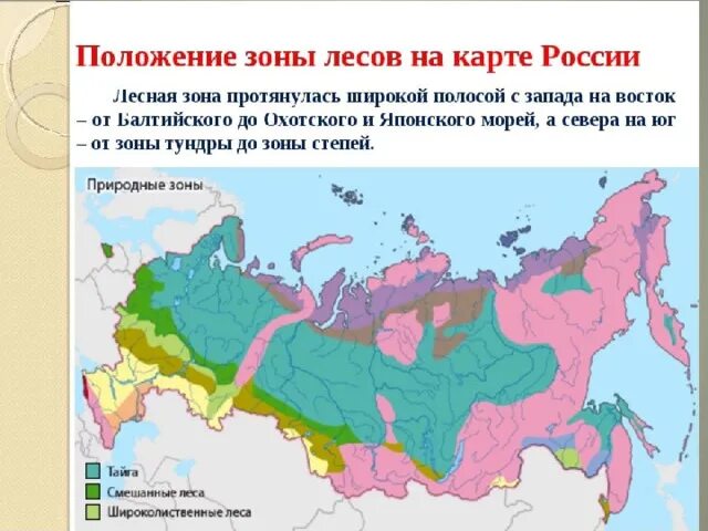 Природная зона расположенная южнее тайги. Смешанные и широколиственные леса на карте России. Зона смешанных и широколиственных лесов на карте. Зоны тайги смешанных и широколиственных лесов на карте России. Зона широколиственных лесов на карте России.