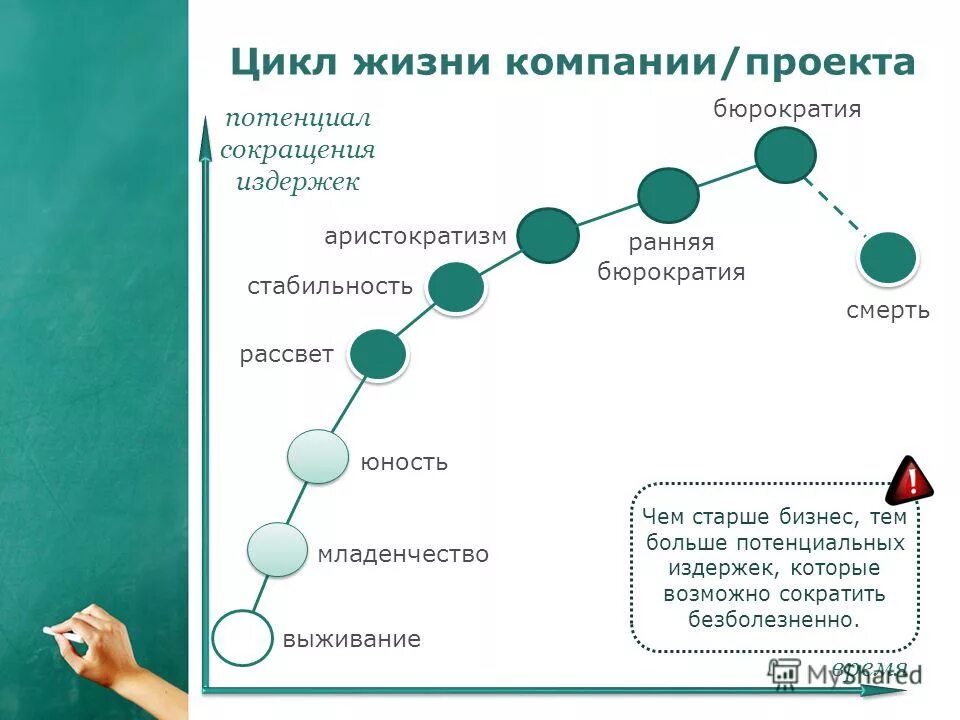 Книга жизненные циклы. Цикл жизни компании. Жизненный цикл компании. Жизненный цикл корпорации. Цикличность жизни организации.