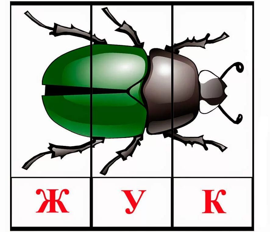 Собери слово из частей. Математические пазлы насекомые для дошкольников. Дидактические карточки насекомые. Карточка Жук. Карточки насекомых для дошкольников.