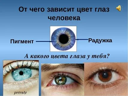 Кареглазый ребенок у голубоглазых