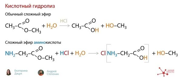 Гидролиз сложных эфиров обратимая реакция или нет. Аминокислота и сложный эфир реакция. гидролиз сложных эфиров аминокислот. сложные эфиры гидролиз сложных эфиров. гидролиз сложных эфиров аминокислот в кислой среде.