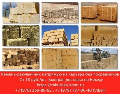 Ракушечник 3 класс