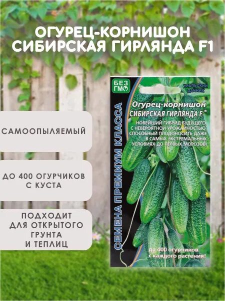Семена огурцов сибирская гирлянда Bel-Okna.ru