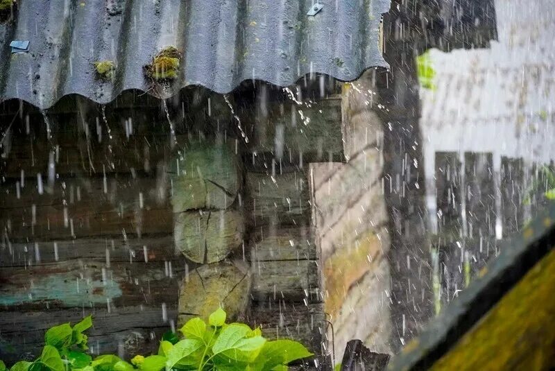 Дождь в деревне. Ливень в деревне. Проливной дождь в деревне. Летний дождь в деревне.