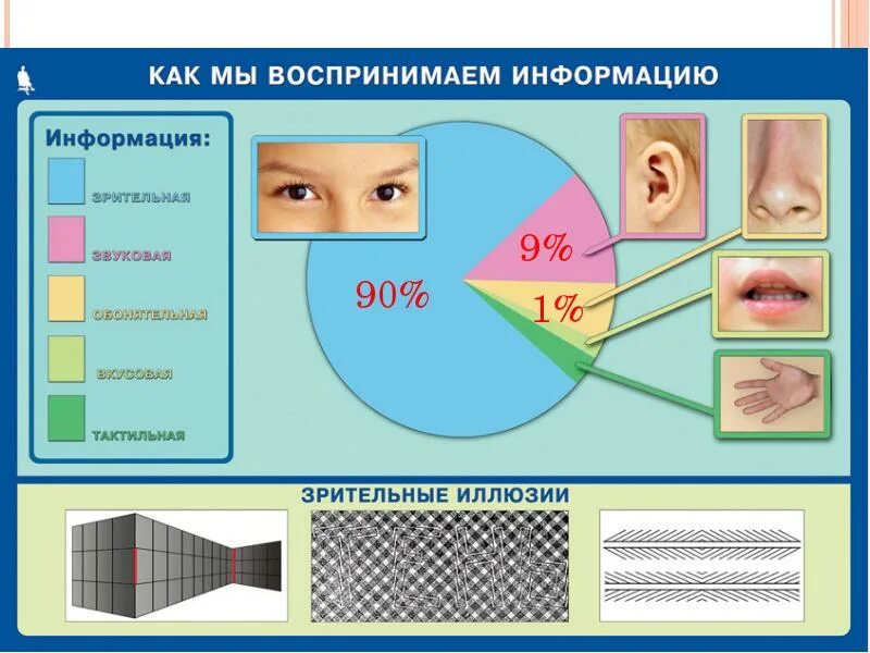 Зрительную слуховую осязательную
