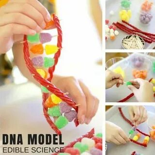 Little candies models