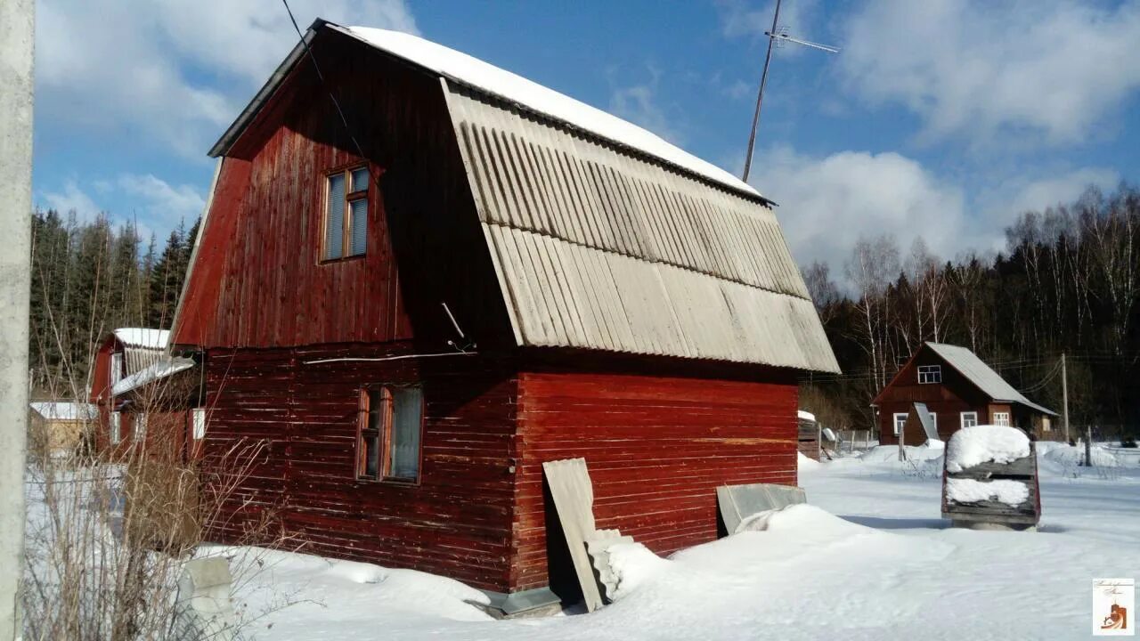 Солнечногорск СНТ Сенеж. Магазин корма Дубинино Солнечногорский. Дубинино Солнечногорский район. Дача Слободка. Купить дачу видео