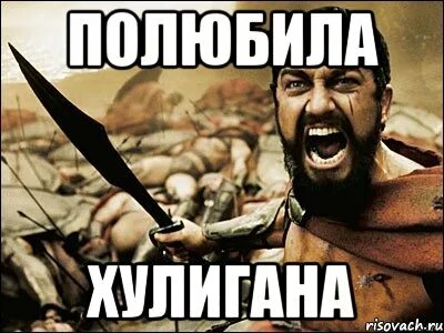 Полюбил хулиганку