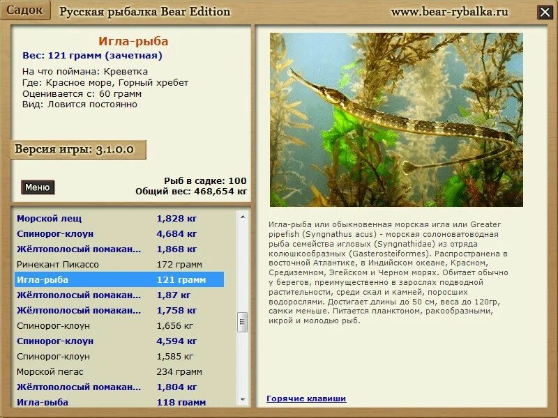 Реальная рыбалка рыба игла. Реальная рыбалка рыба игла. Pipefish перевод на русский. Реальная рыбалка рыба игла. Реальная рыбалка рыба игла.