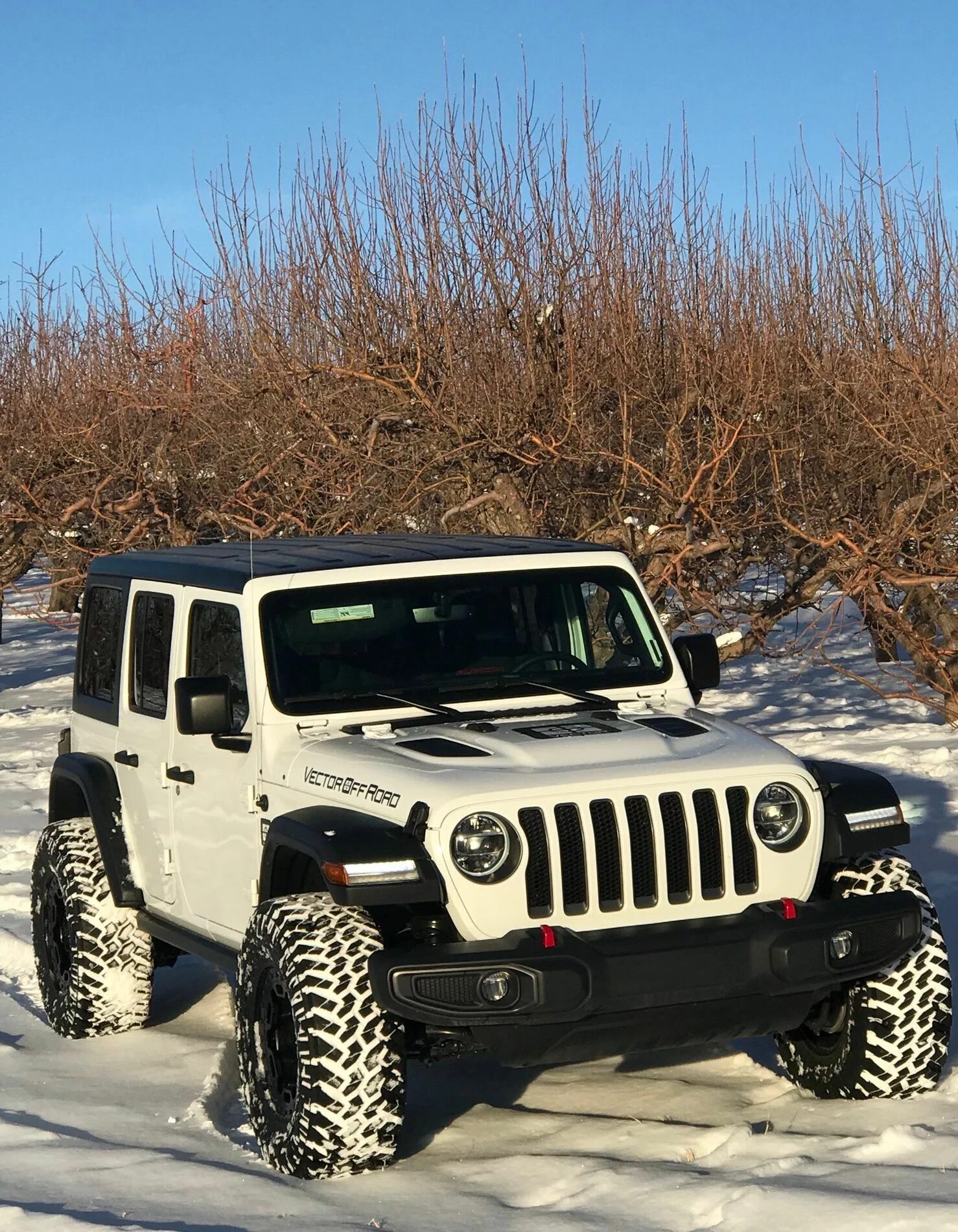 Рубикон джип цена. Джип Wrangler Rubicon. Jeep Wrangler Rubicon. Джип Вранглер Рубикон 2015. Jeep Wrangler Rubicon 2d.