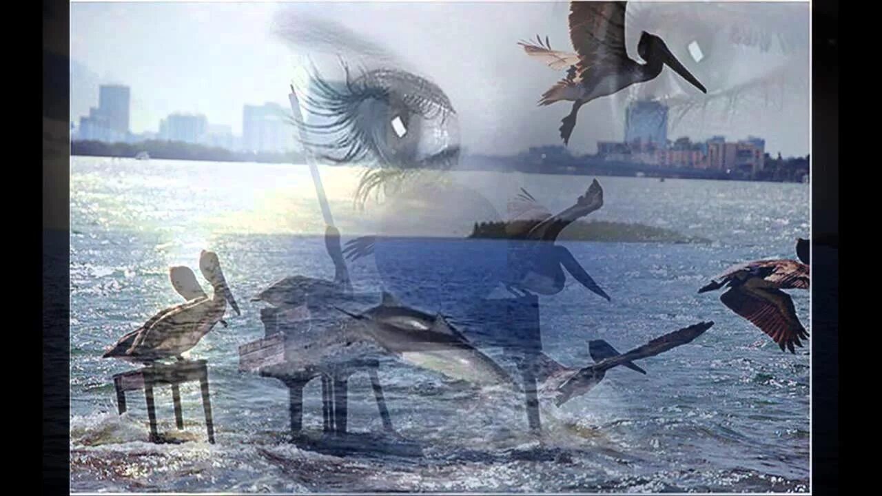 Matsui tears. Keiko matsui - tears of the ocean. keiko matsui whisper from the mirror. ocean of tears. tears of the ocean keiko matsui ноты.