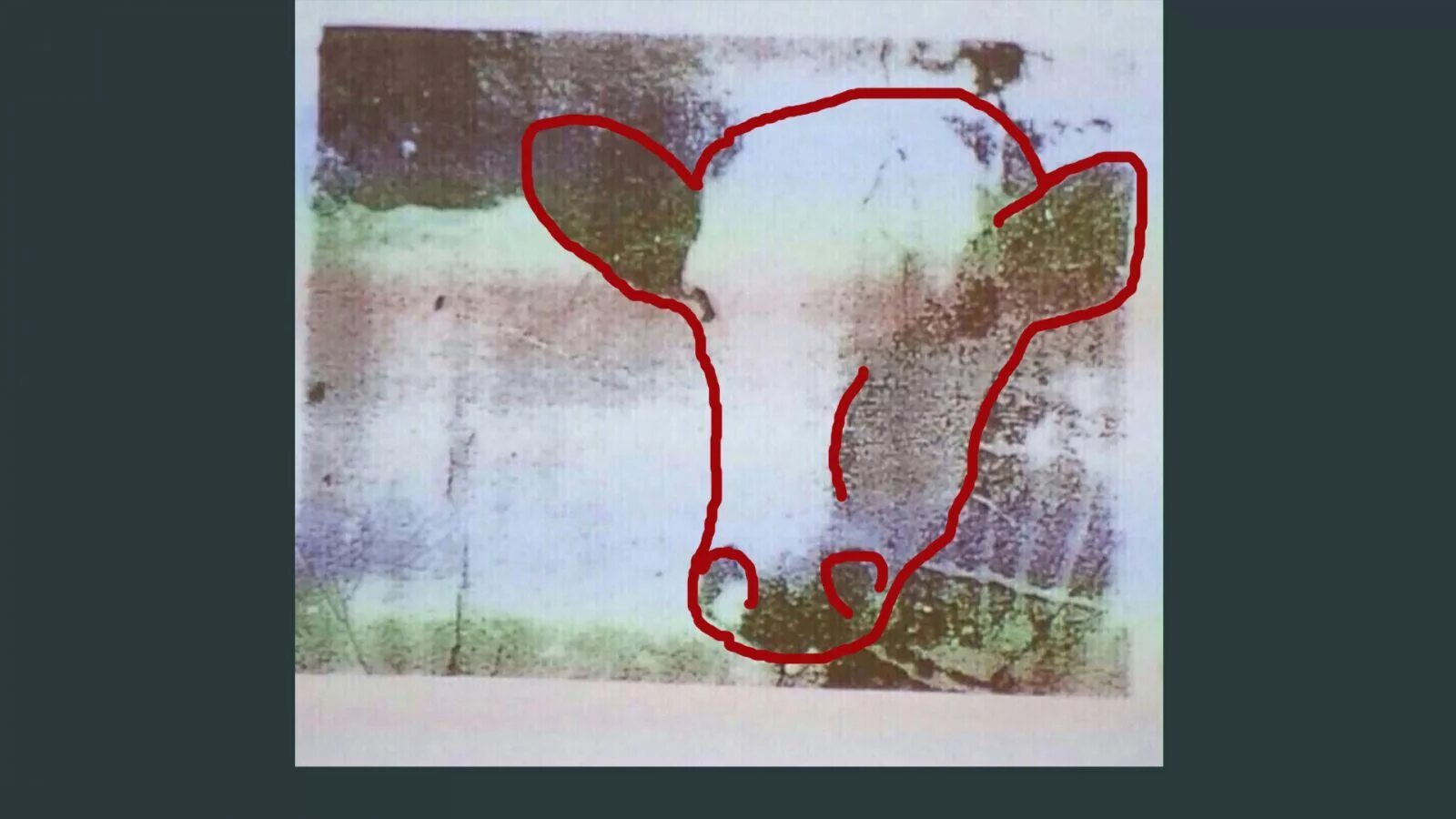Тест на шизофрению корова. Тест на шизофрению картинка. Тест на шизофрению с изображением коровы. Тест рисунок корова.