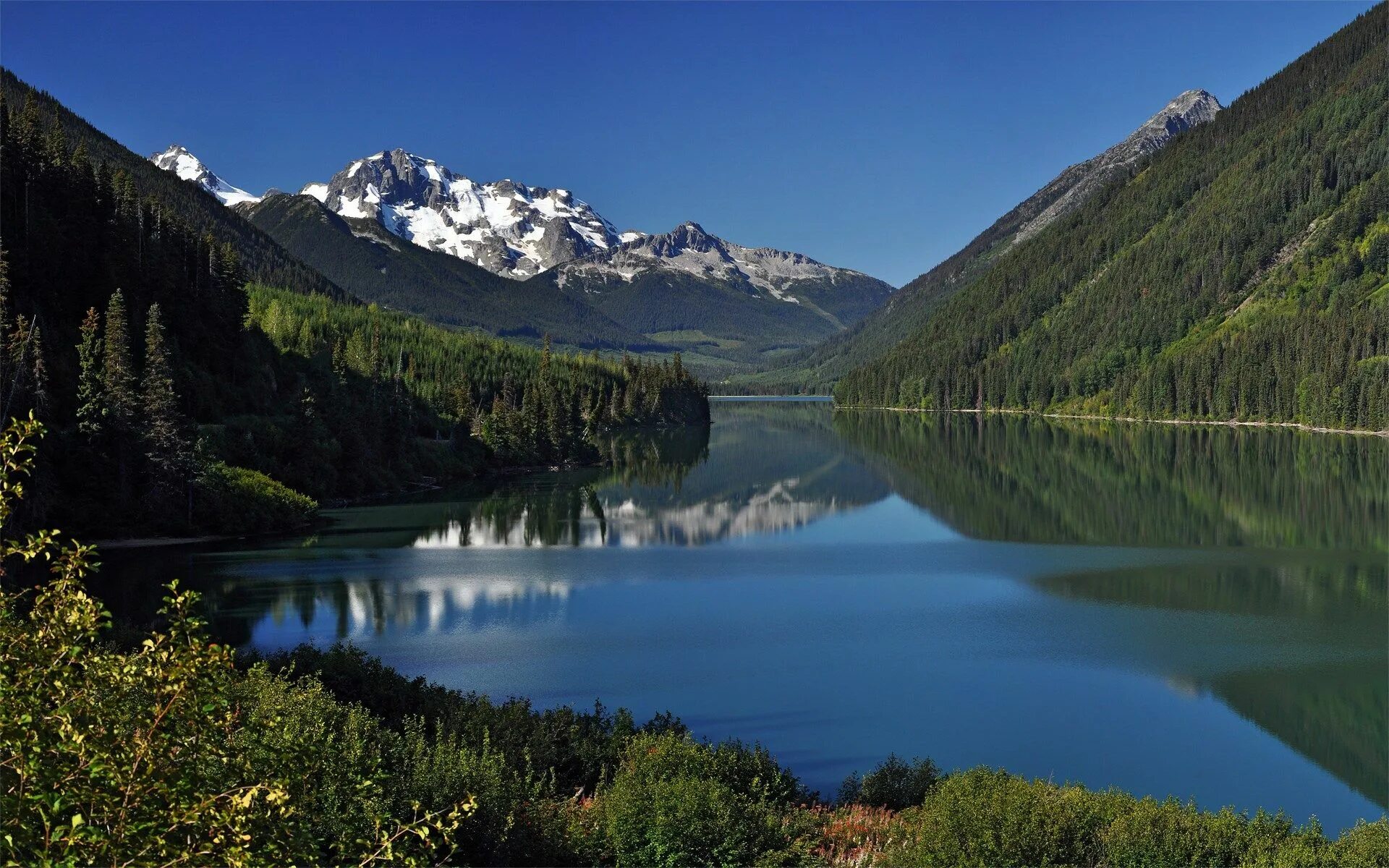 Lake download. Озеро Рица. Мультинские озера. Маунтайн Лейкс. Телецкое озеро.