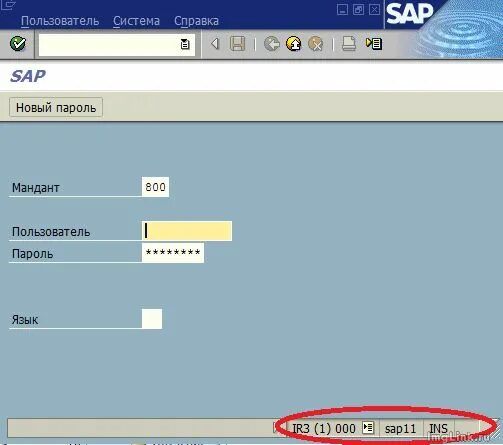 Программа sap logon. Sap logon ржд. Sap программа склад. Sap logon 730. Sap logon значок.