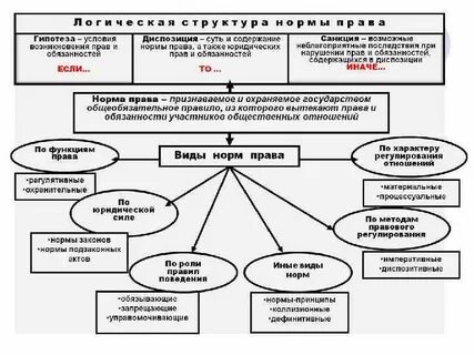 Материальные процессуальные обязывающие запрещающие управомочивающие