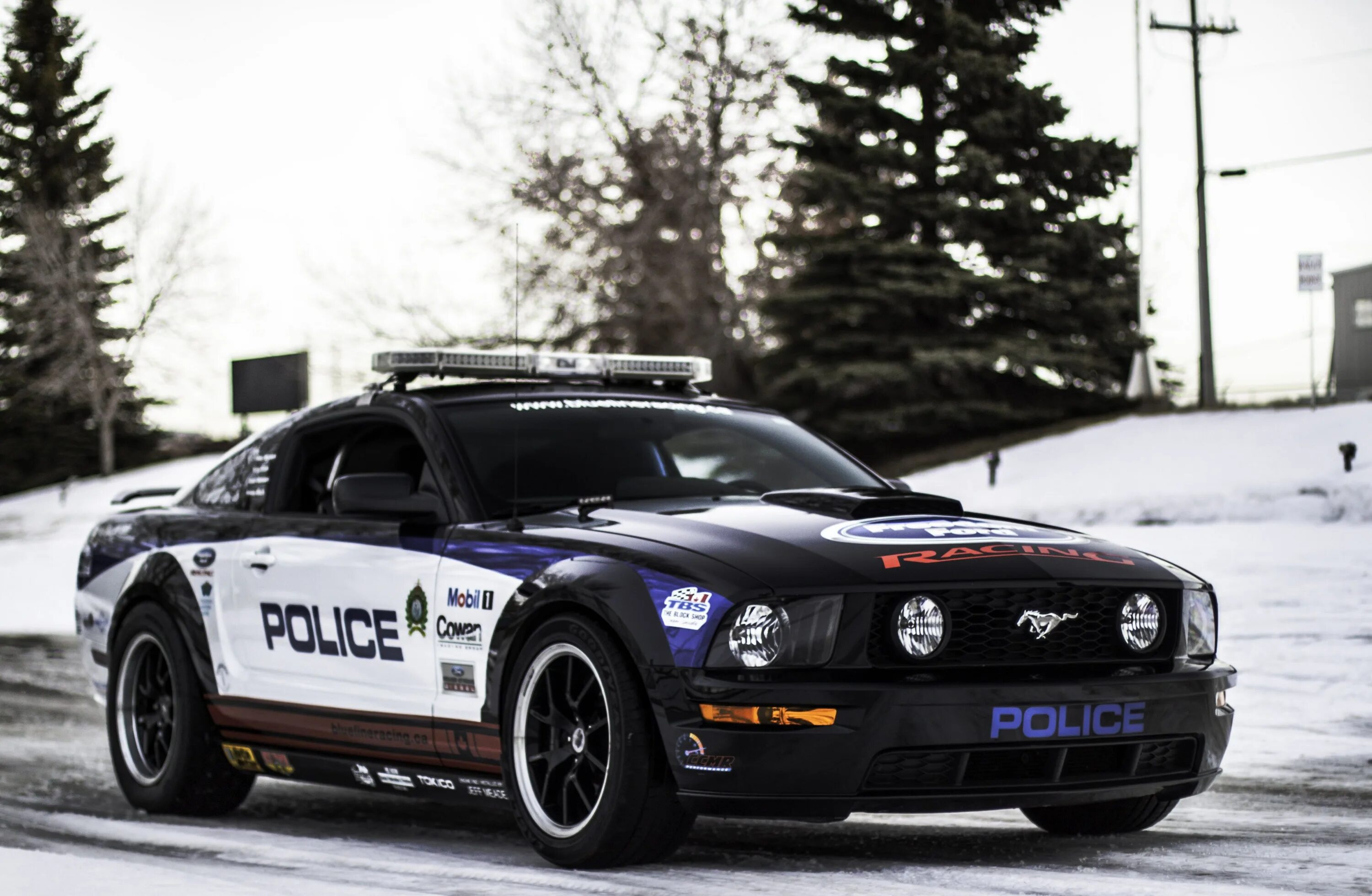 Полицейский мустанг. Ford Mustang gt 2006 Police. Ford Mustang Police Interceptor. Ford Mustang gt полиция. Ford Mustang gt 2005 Police.