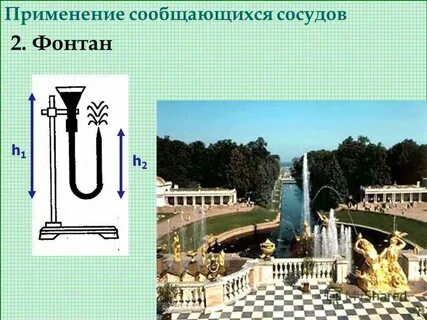 Сообщающиеся сосуды в природе