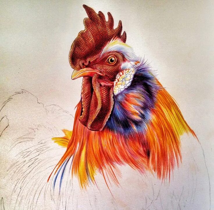 Chicken art